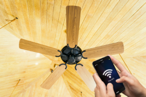 Smart Ceiling Fans