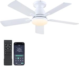 Mpayel Ceiling Fan with Light and Remote/APP Control