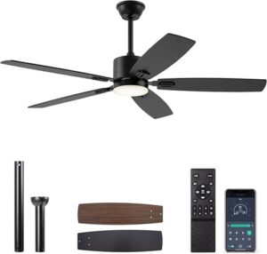 SUNMORY 52-Inch Ceiling Fan with Lights